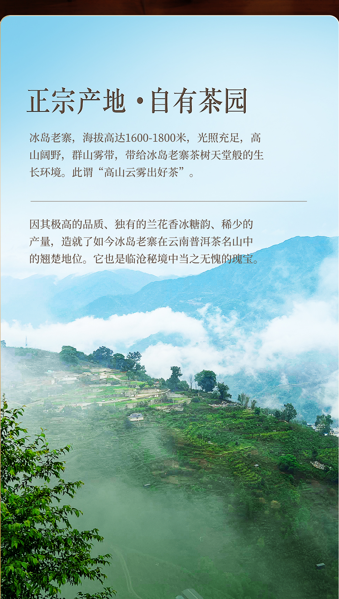 冰岛老寨熟茶_02.jpg