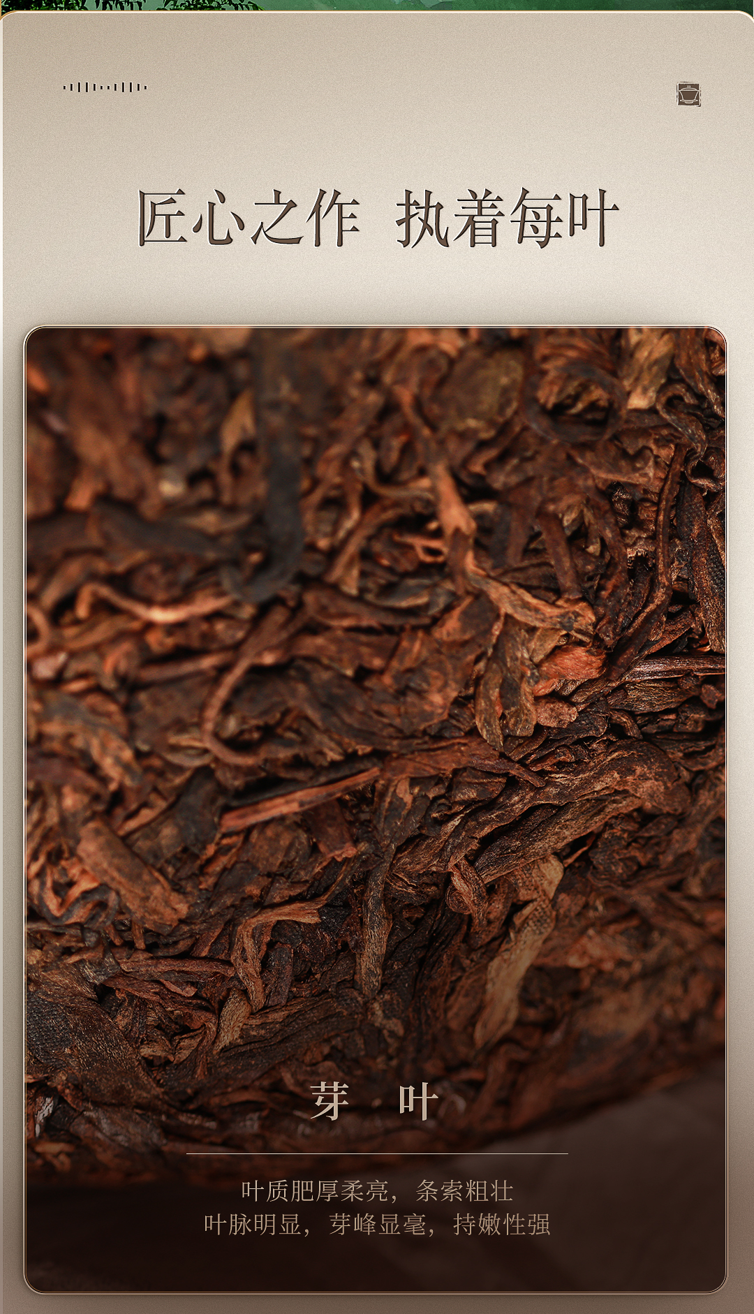 冰岛老寨熟茶_03.jpg