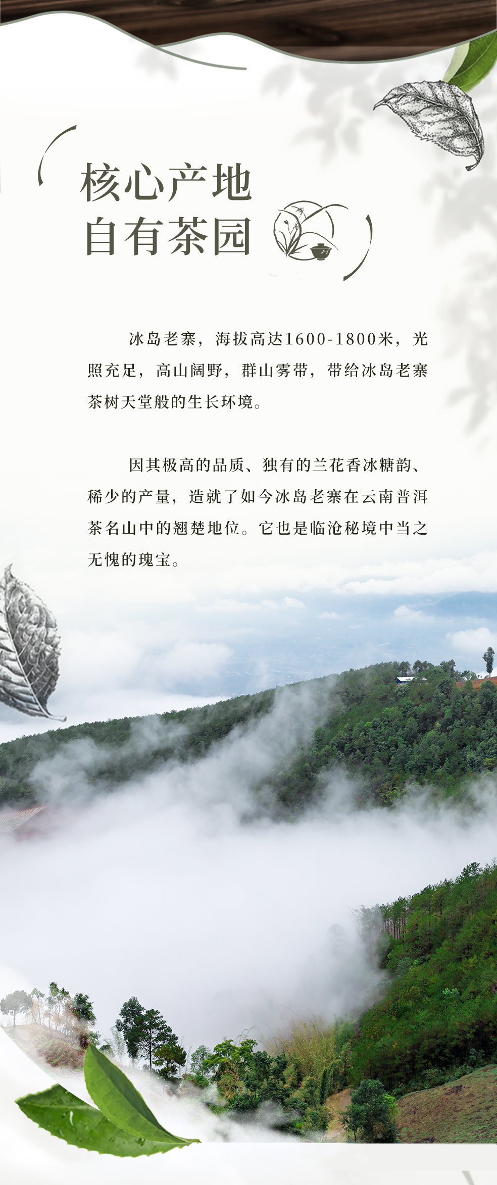 00-拼接_03.jpg