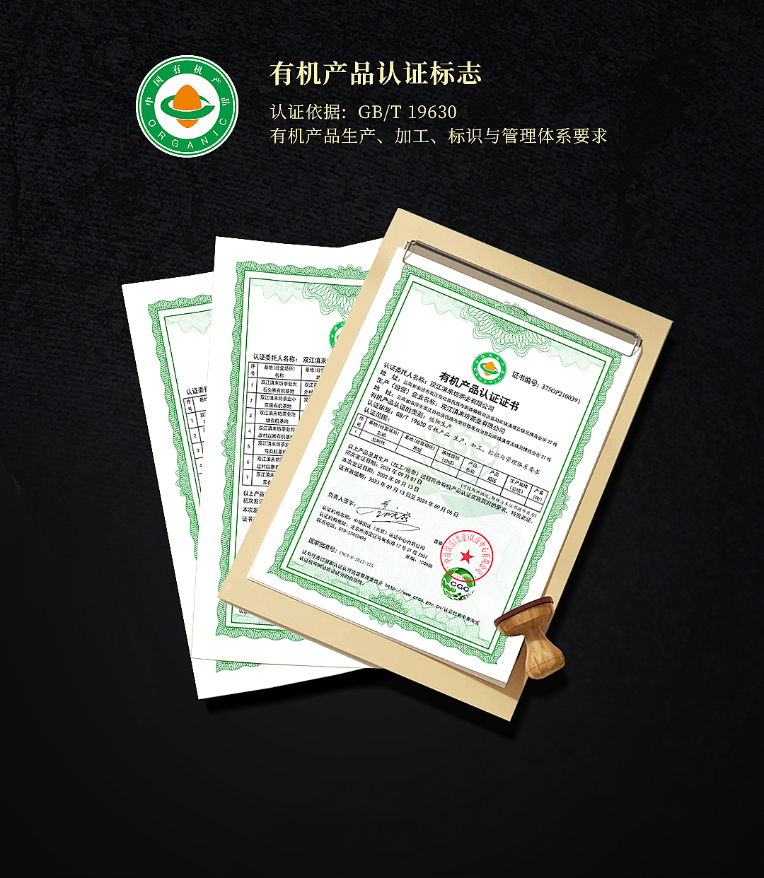 金奖茶2023年冰岛老寨生茶_09.jpg