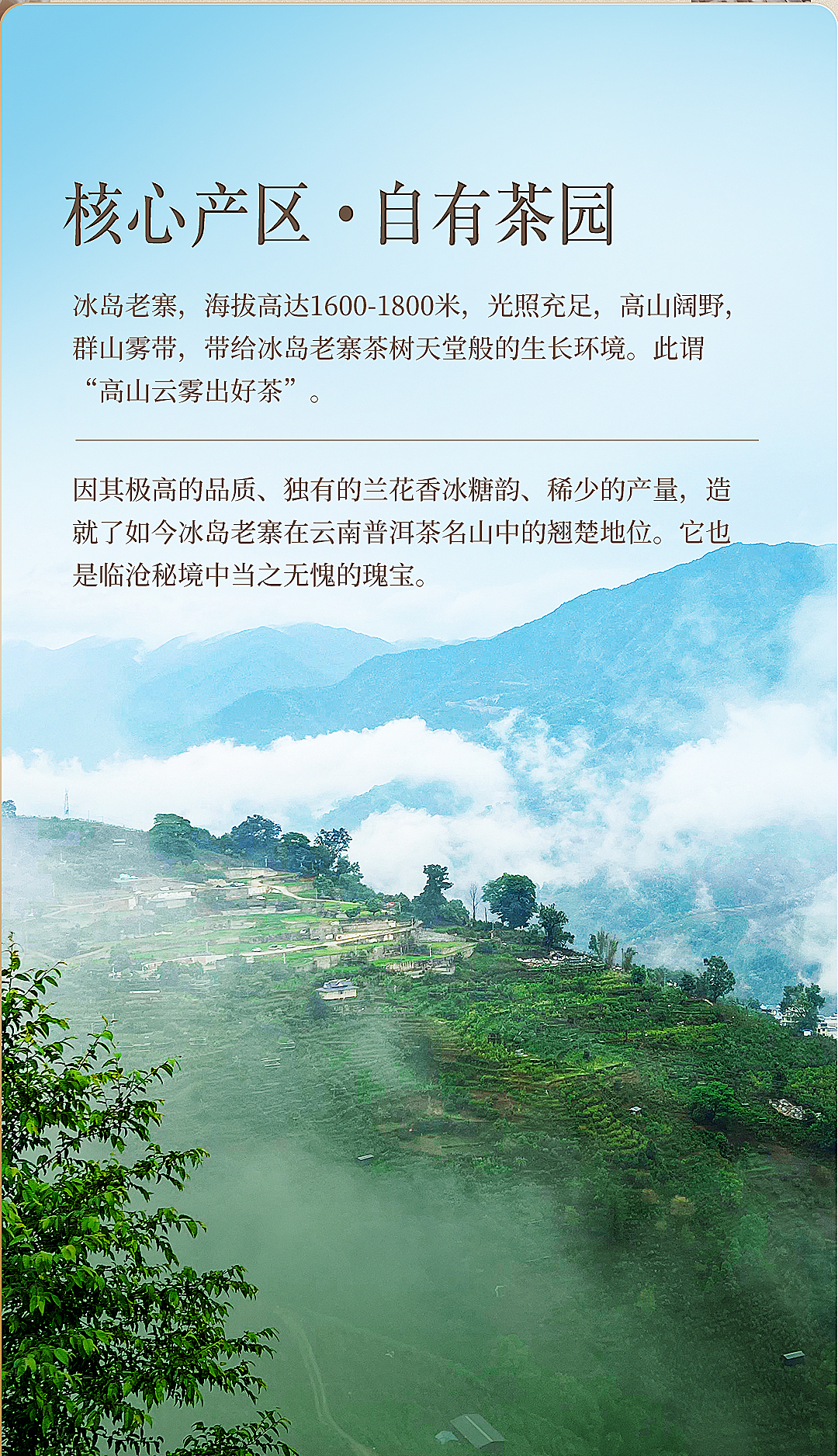 冰岛老寨生茶200g_02.jpg