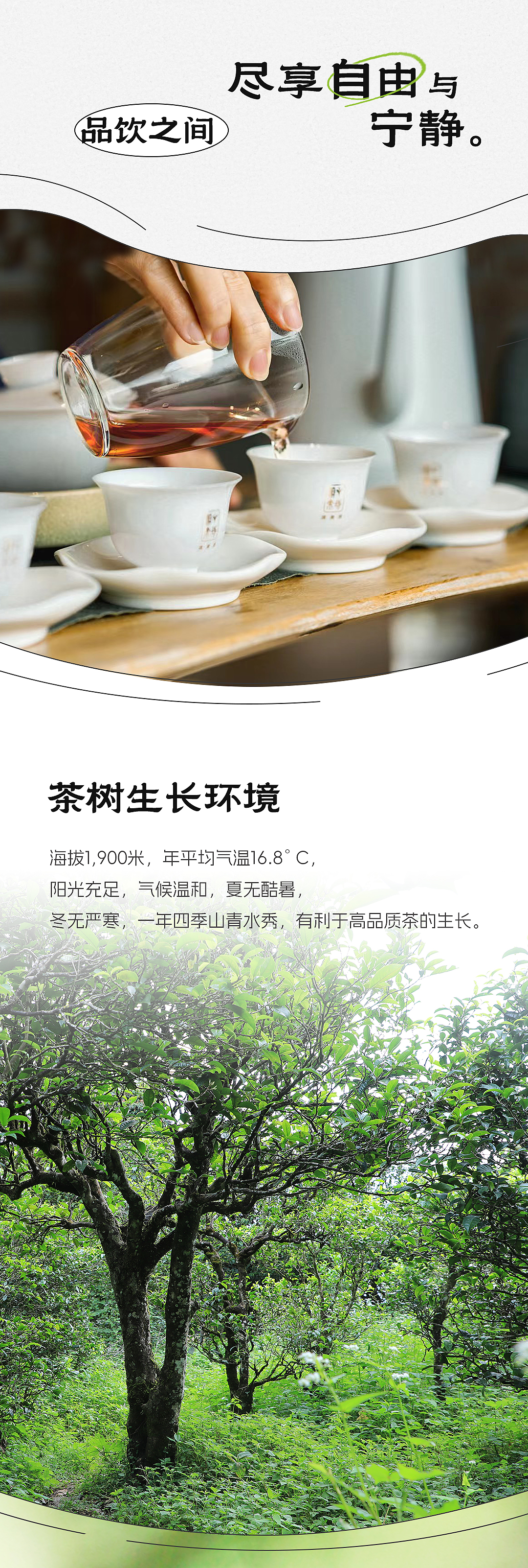 自然醒推文-2_03.jpg