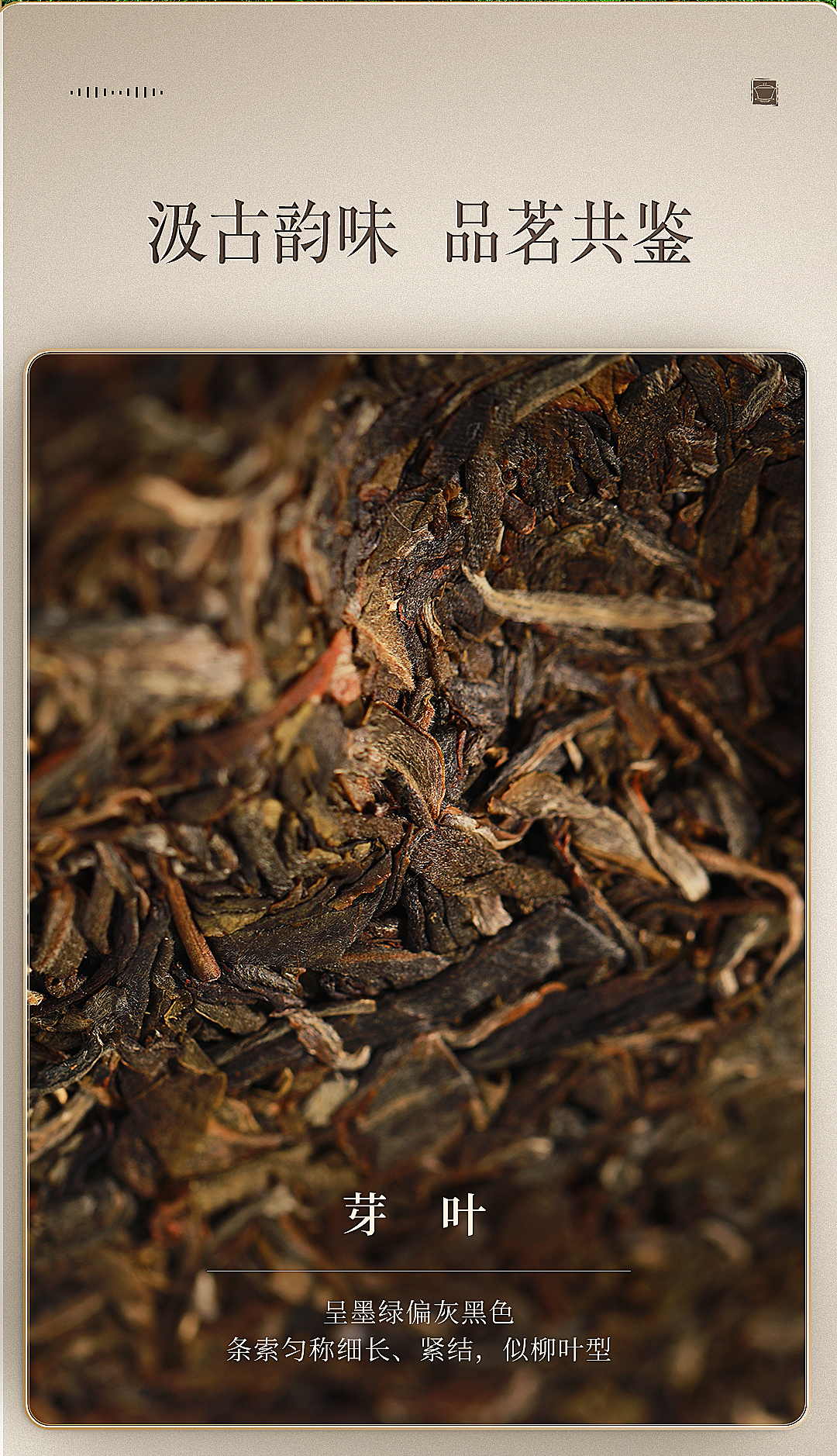 昔归生茶200g_03.jpg
